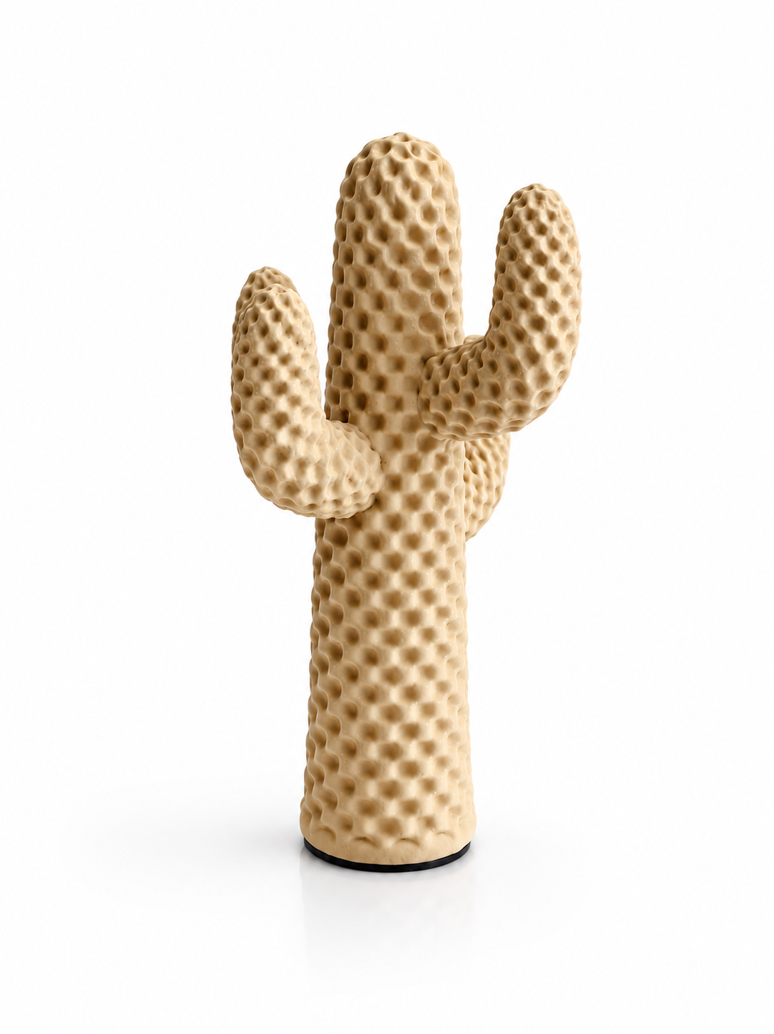 Cactus d’Ivoire