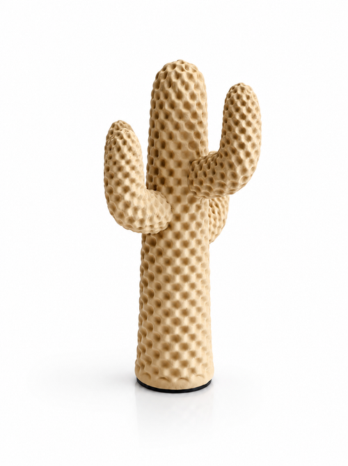 Cactus d’Ivoire