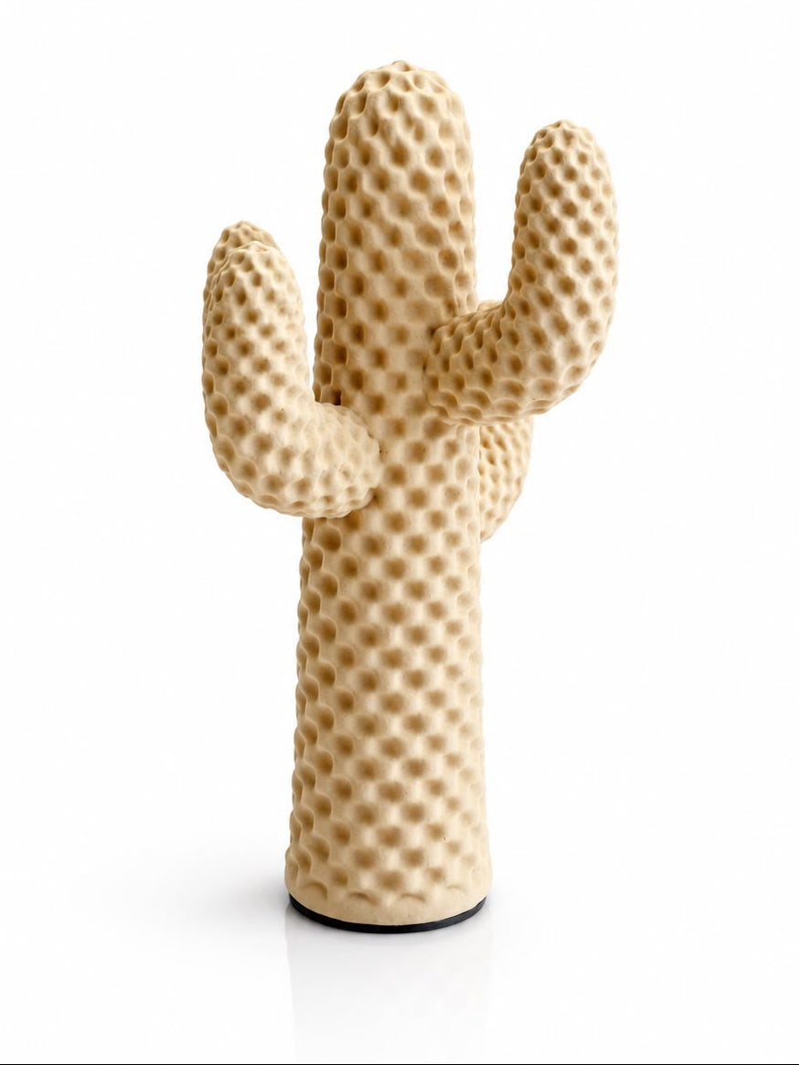 Cactus d’Ivoire