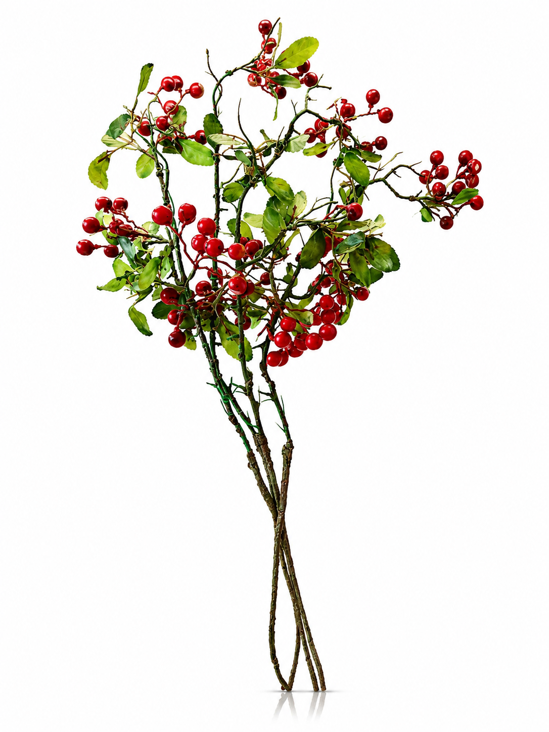 Baies Rouges