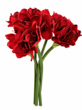 Bouquet Rouge Intense