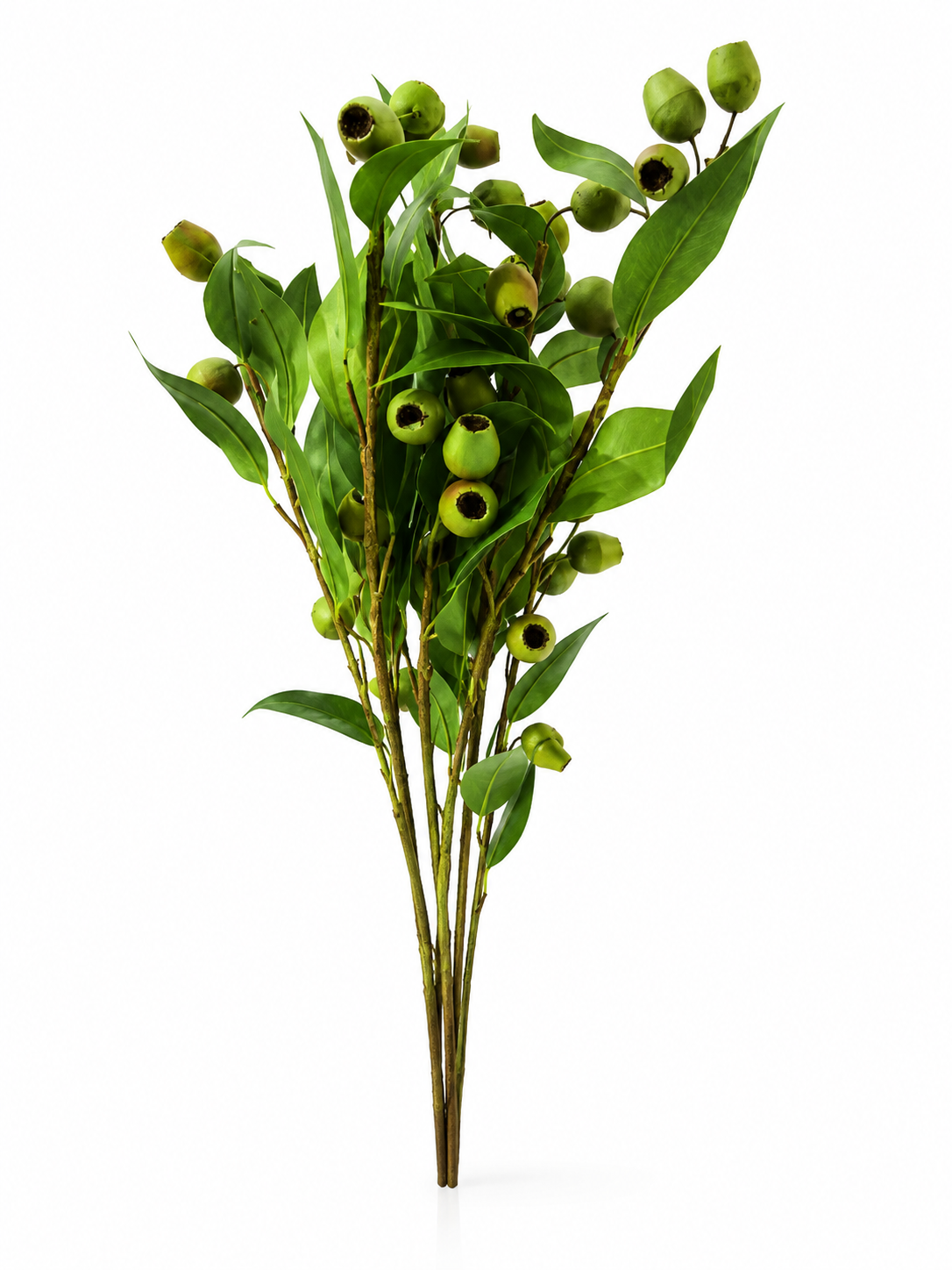 Boutons Verts