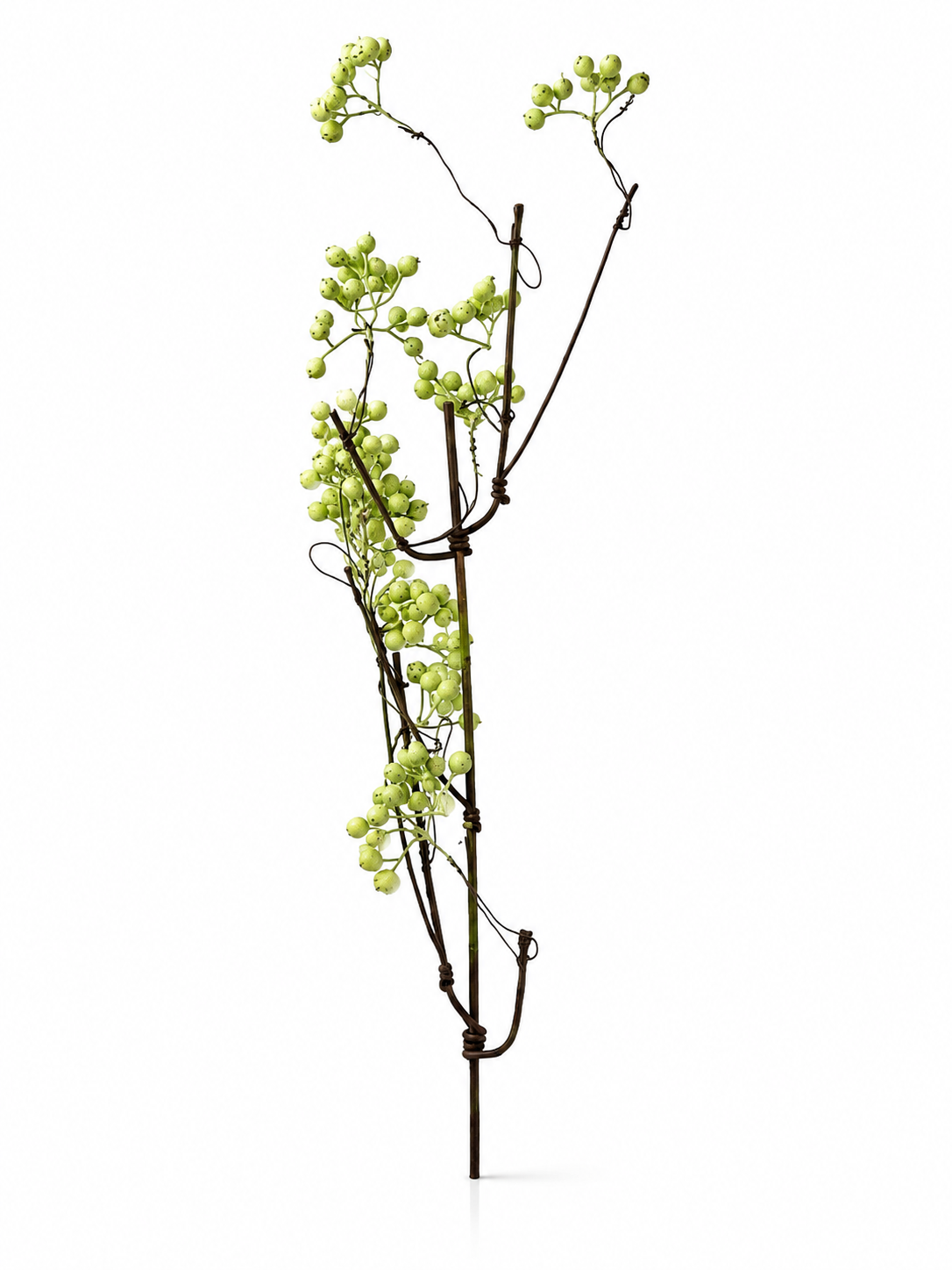 Branche Fleurie Verte