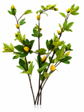 Branche Verte Fleurie