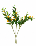 Branches aux Fruits Orange
