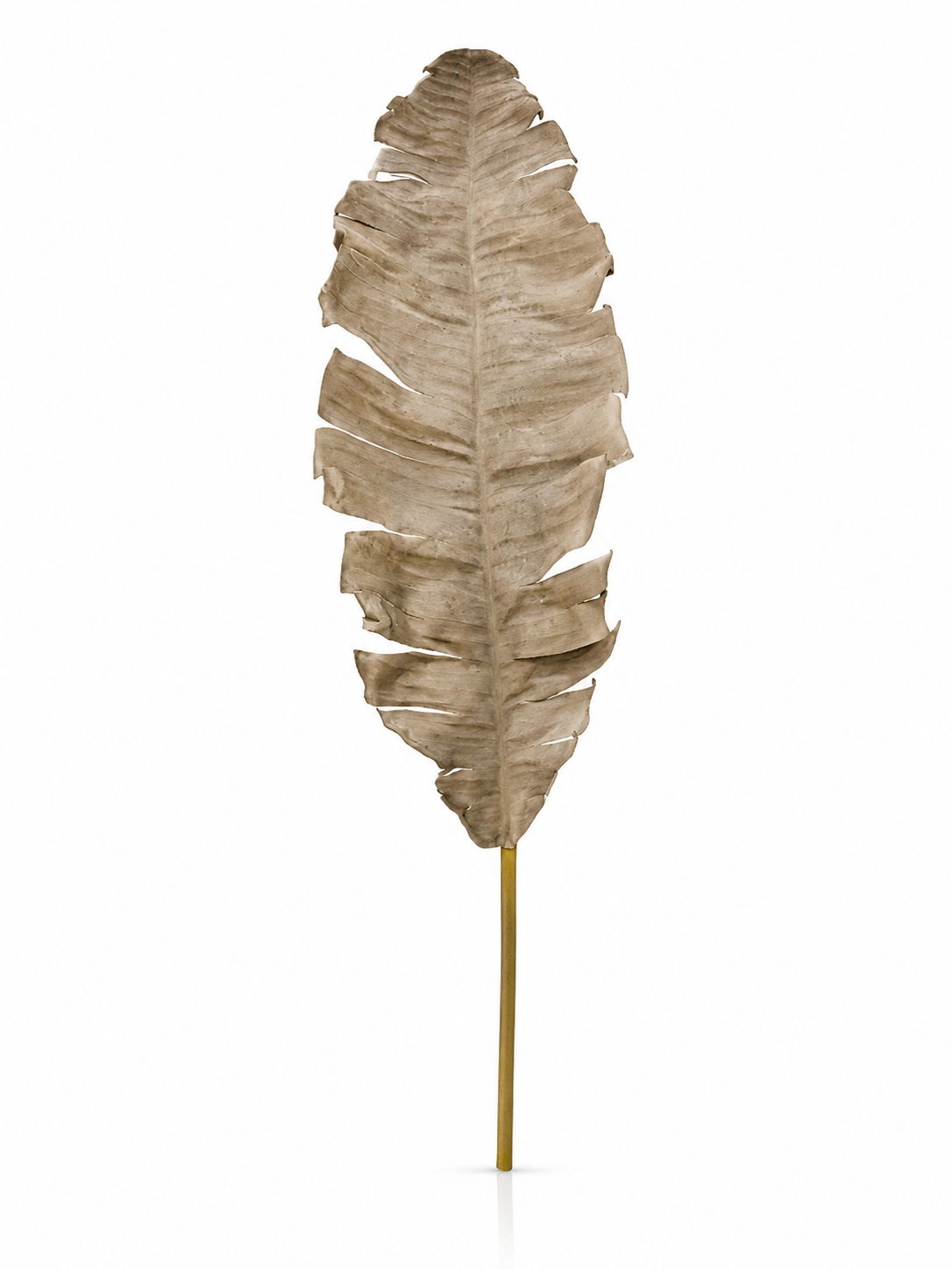 Feuille Sculpturale Beige