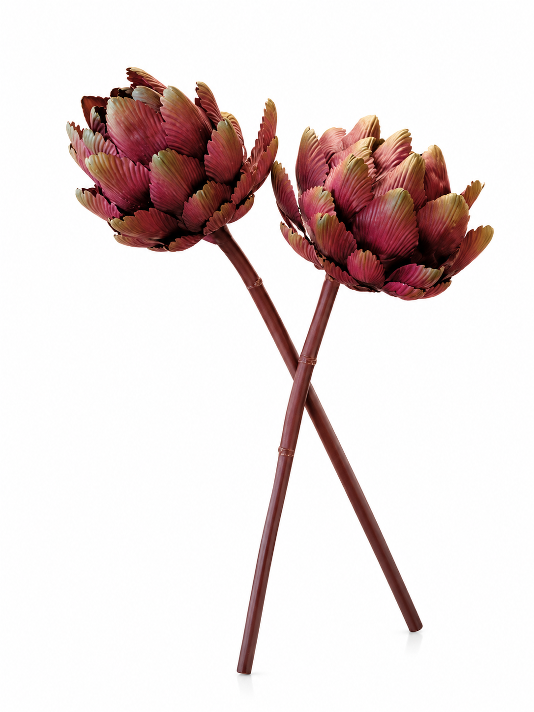 Fleurs Bourgogne