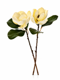 Fleurs Crème
