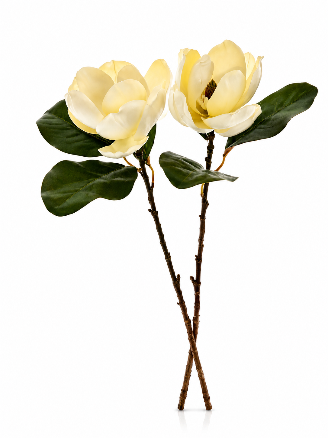 Fleurs Crème