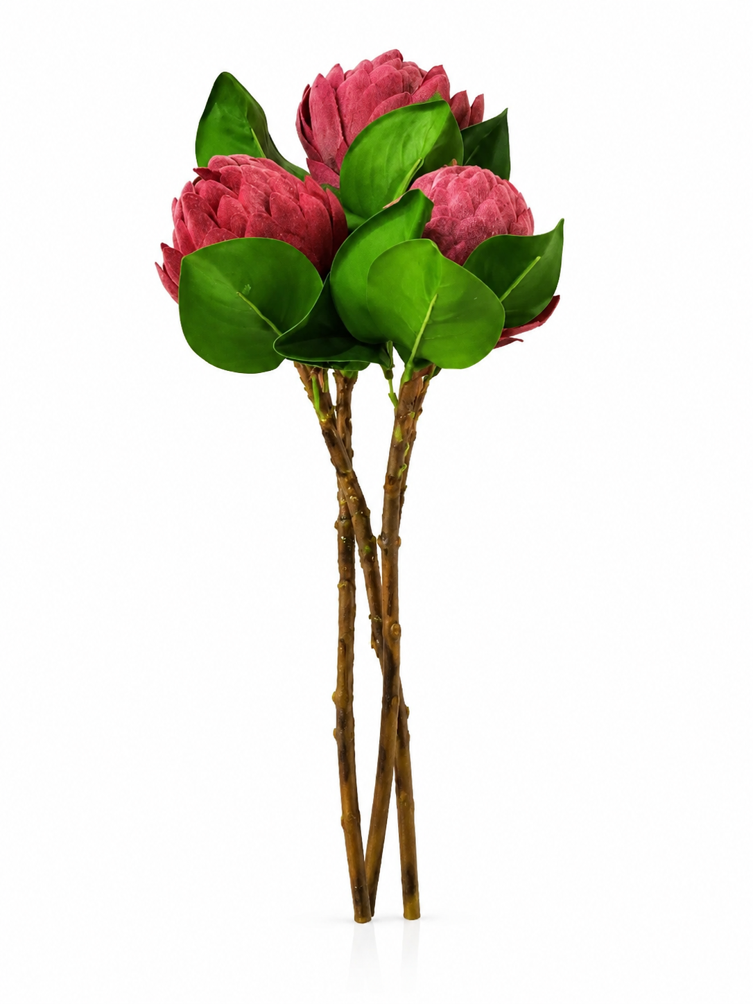 Fleurs Framboise