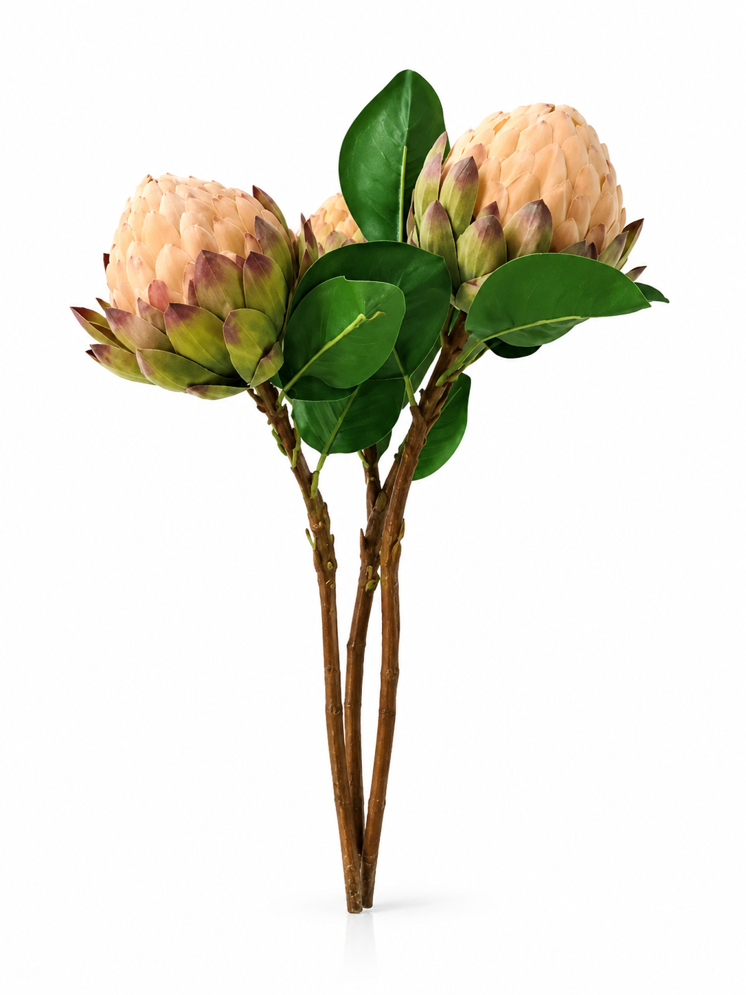 Fleurs Poudrées