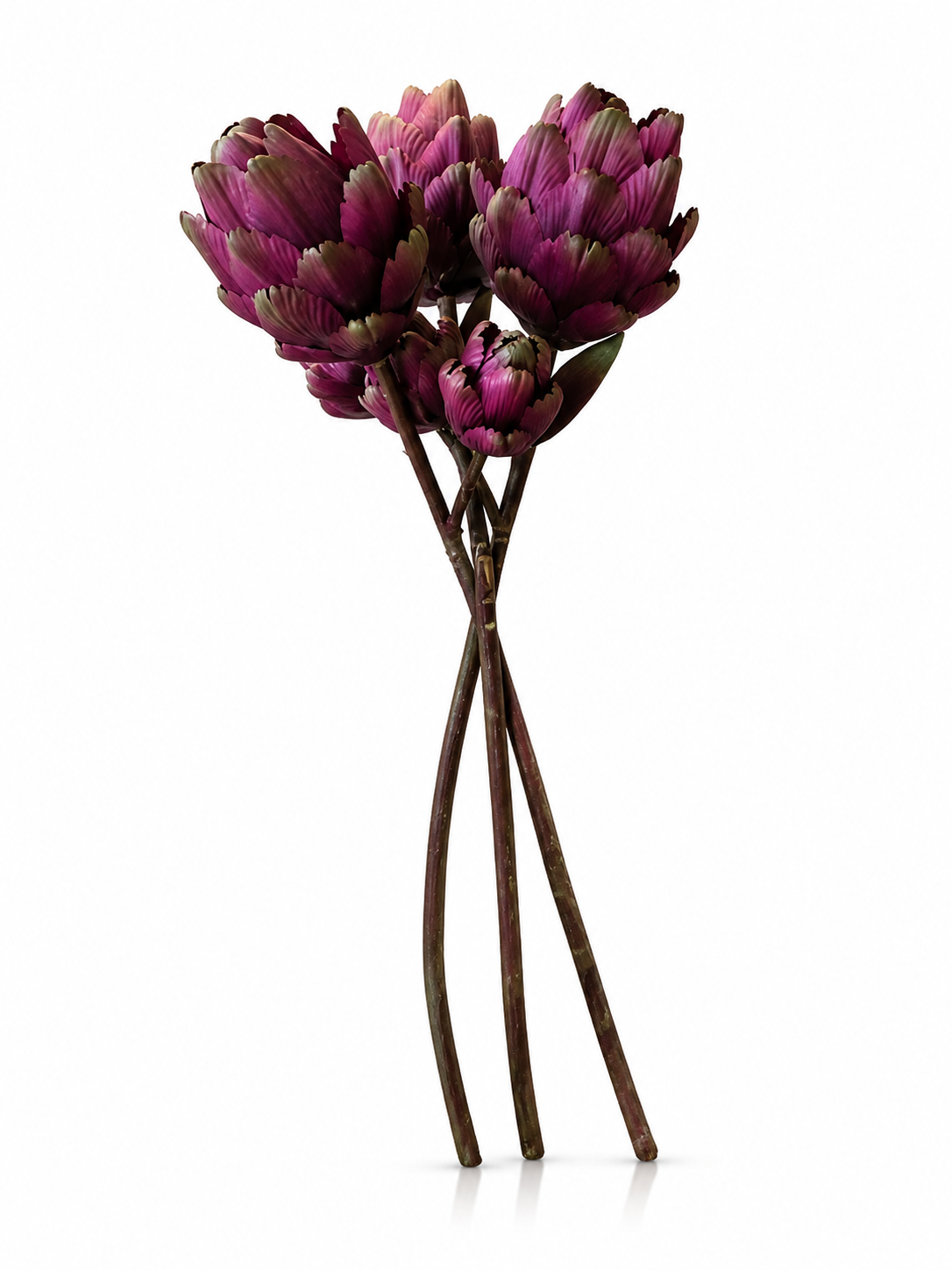 Fleurs Prune