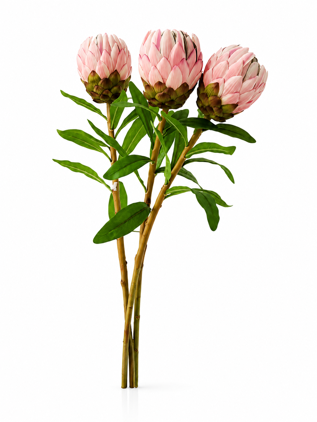 Fleurs Rose Poudré