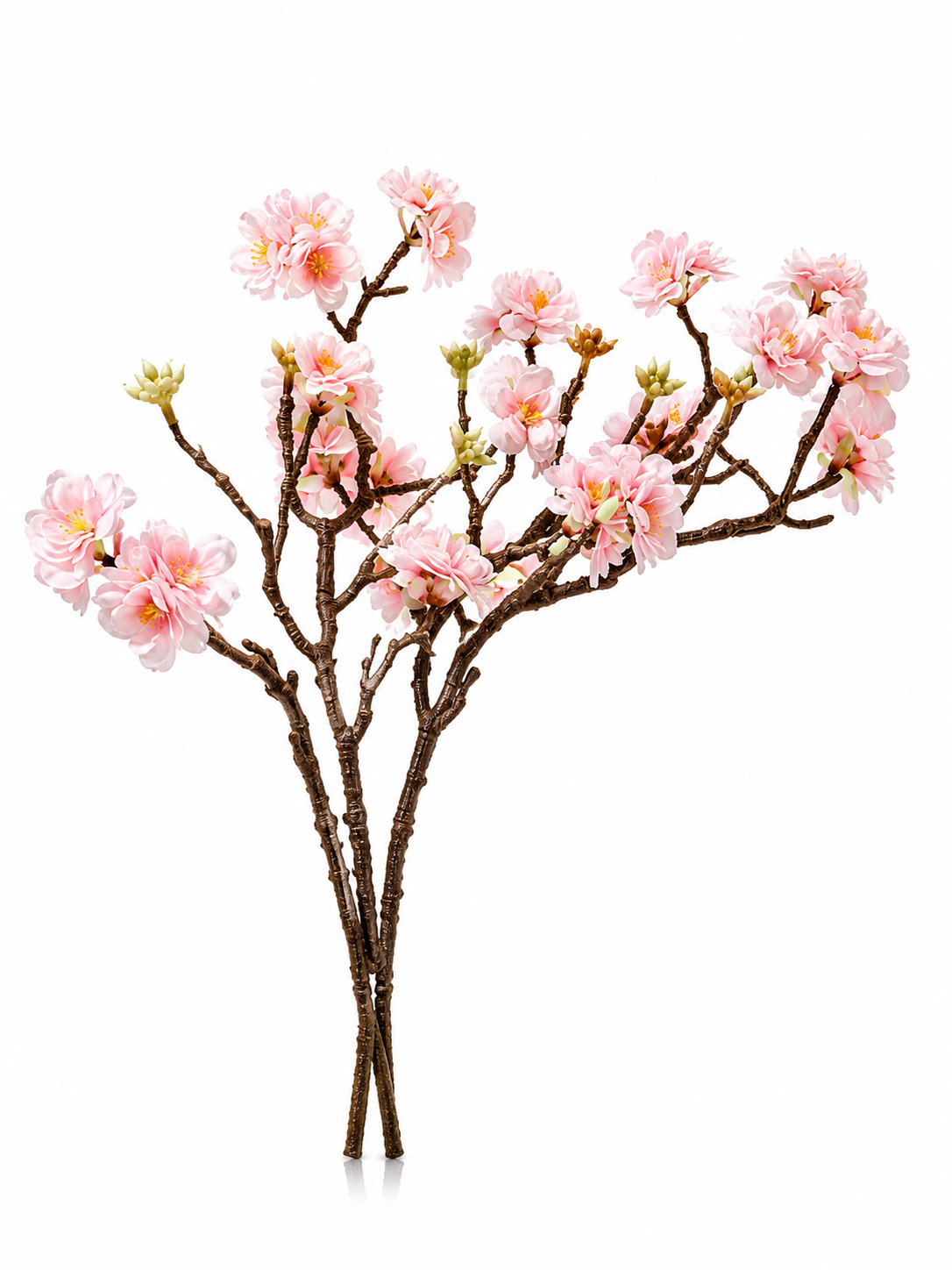 Fleurs Roses sur Branche