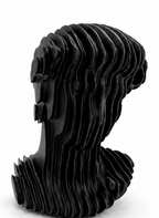 Bustes Graphiques Noirs — gauche