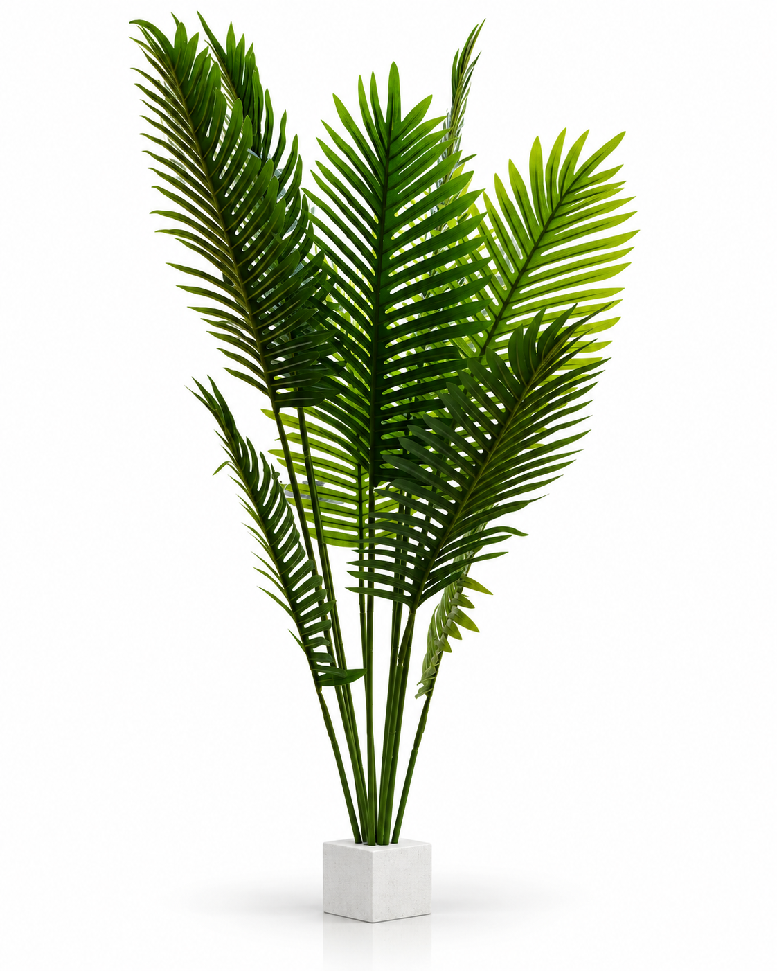 Palmier Graphique — image principale