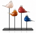 Volée d’Oiseaux