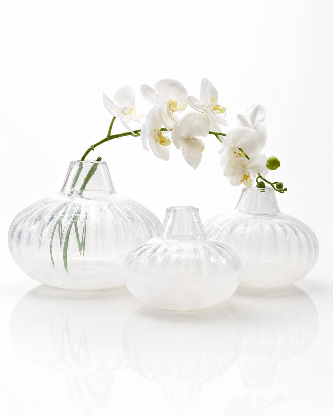 Stries Blanches